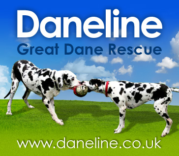 Daneline support banner